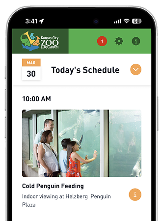 Today's schedule in the Kansas City Zoo app